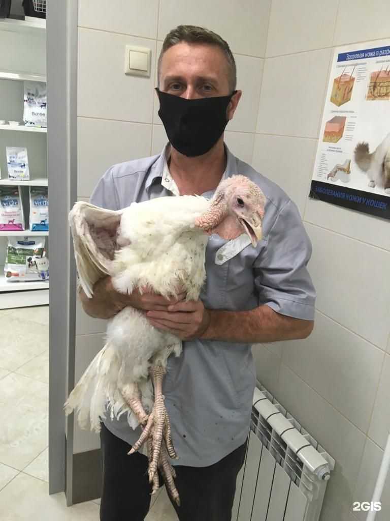 Отзывы на компанию ДокторВет в г. Казань c фото