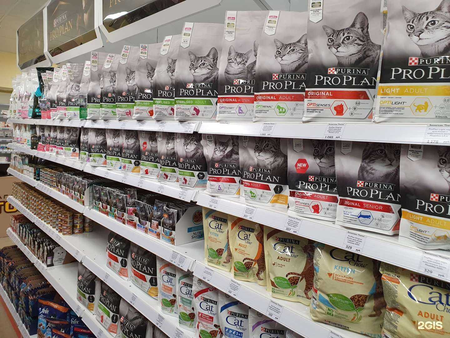 Отзывы на компанию Платон в Прокопьевске c фото