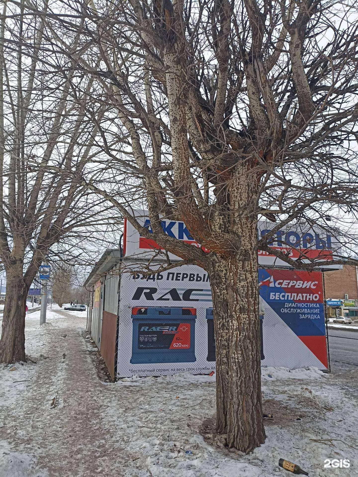 Отзывы на компанию Магазин цветов в Красноярске c фото - фотография 2 из 2