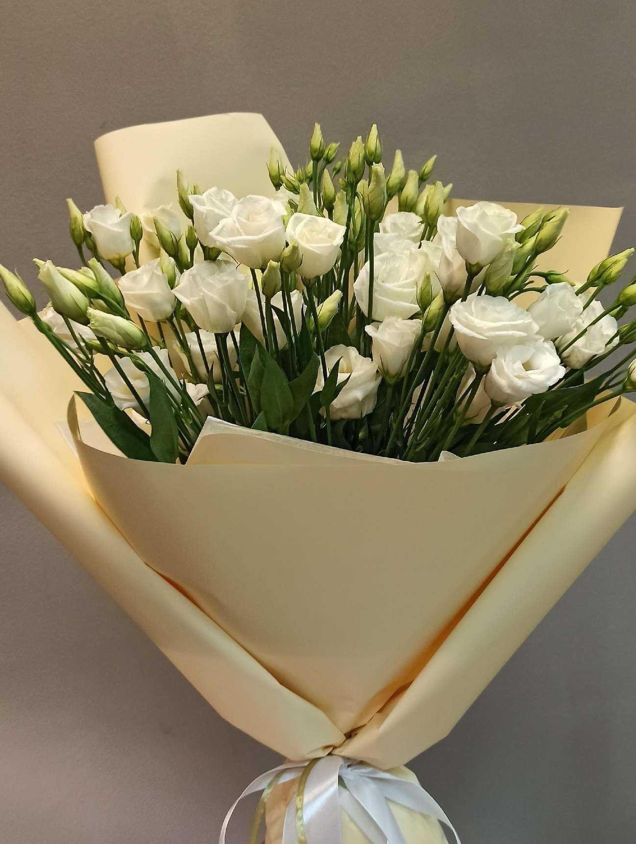 Отзывы на компанию Кактус в Липецке c фото