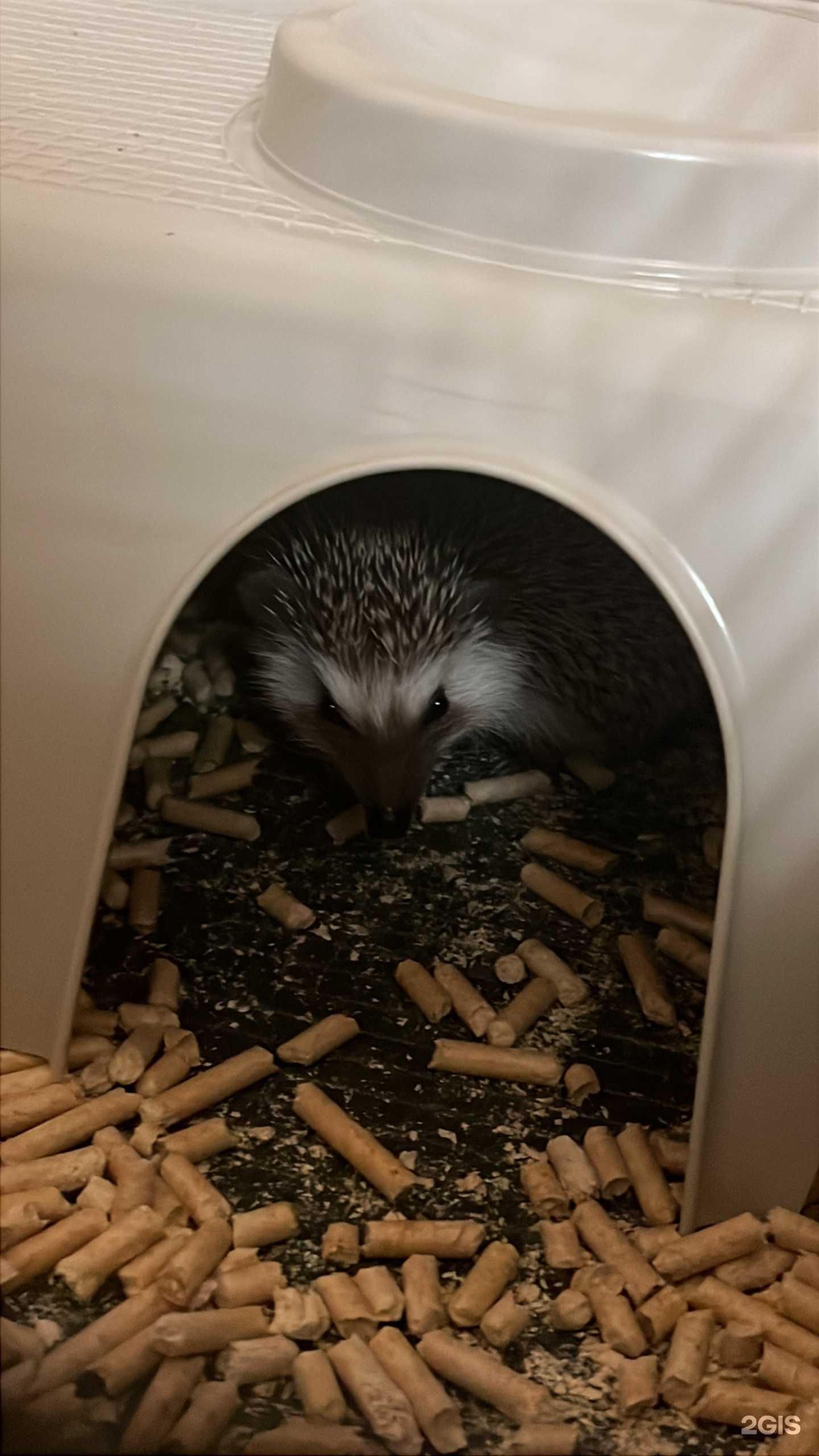 Отзывы на компанию ЗооМир в Якутске c фото