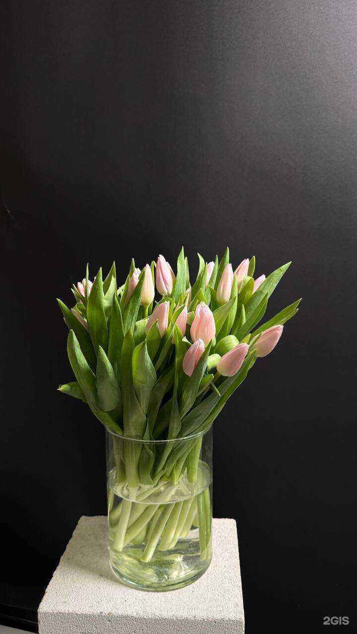 Отзывы на компанию Цветаева в г. Калининград c фото