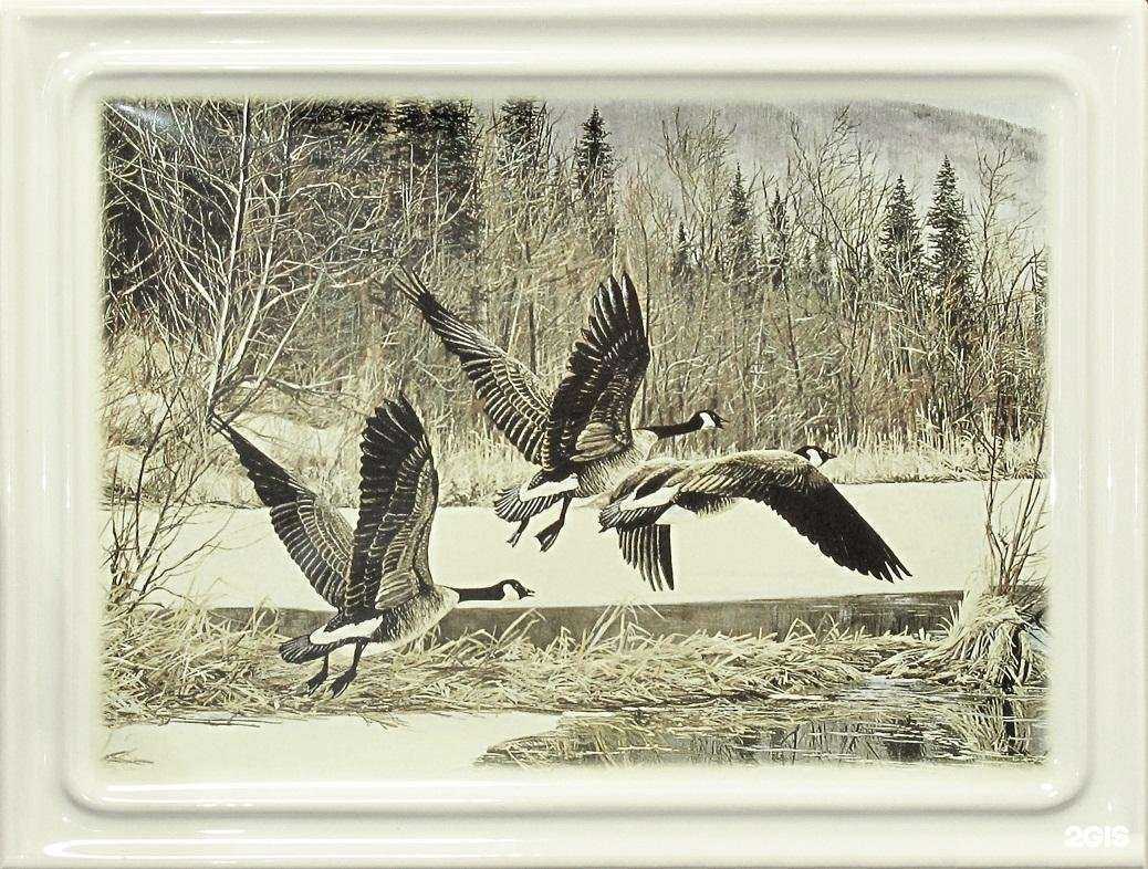 Отзывы на компанию Печной центр в г. Владимир c фото