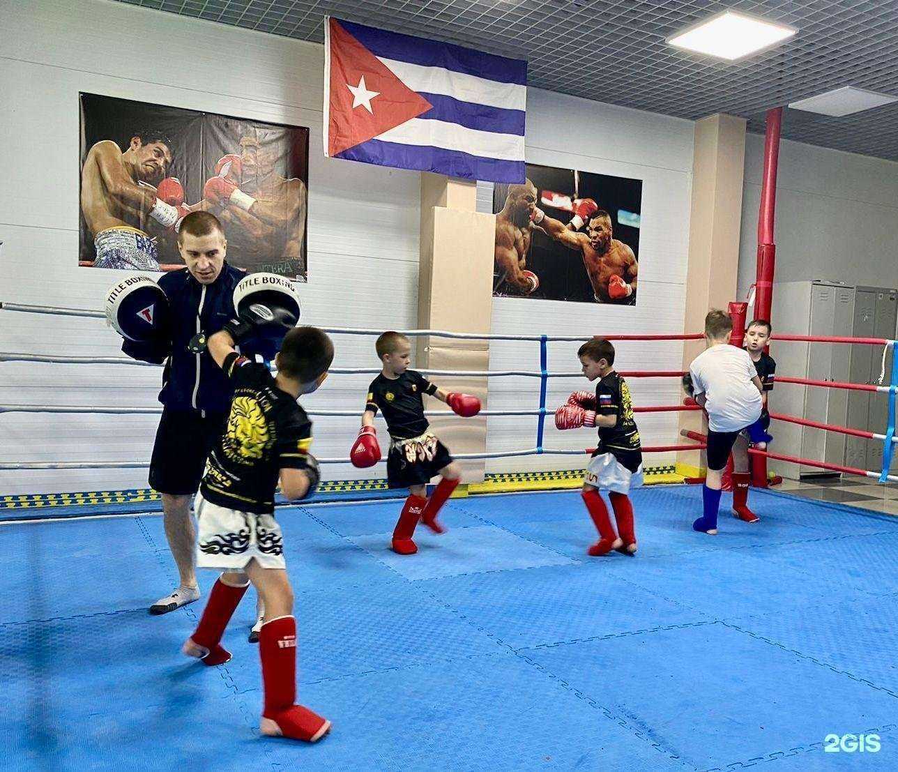 Отзывы на компанию Боксерский клуб имени Львова В.К. в Чебоксарах c фото