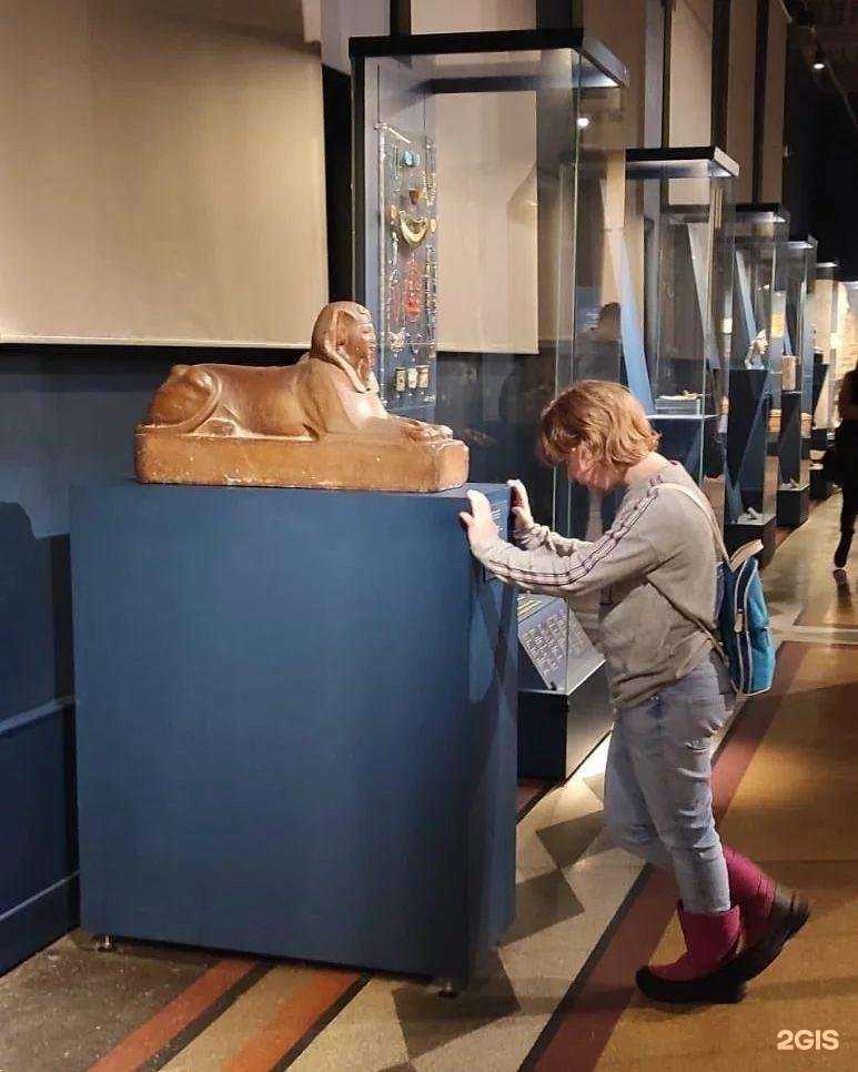 Отзывы на компанию Новая школа в г. Королёв c фото