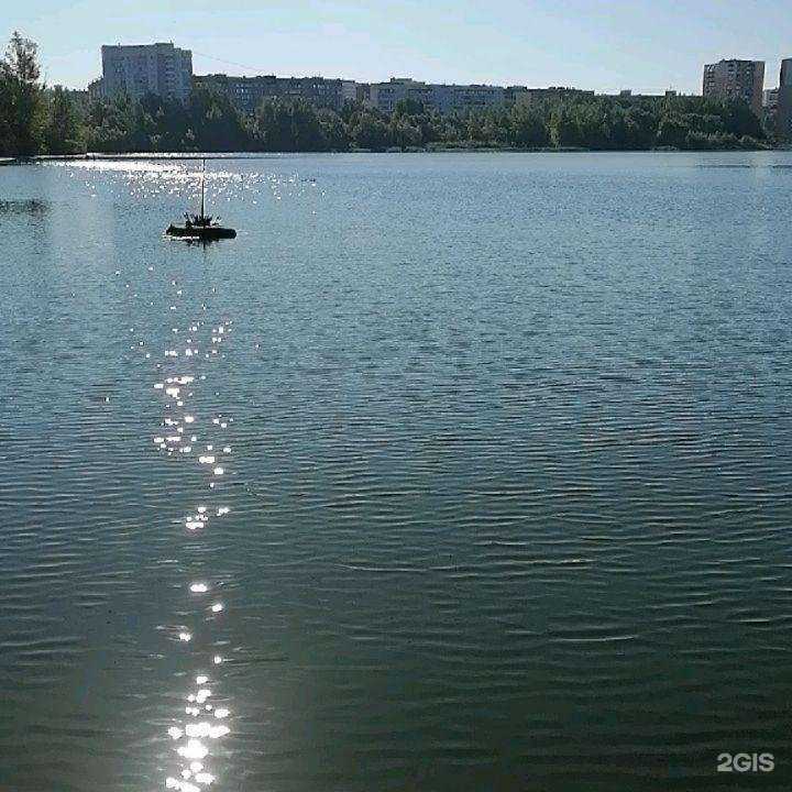 Отзывы на компанию Ручная акула в Уфе c фото