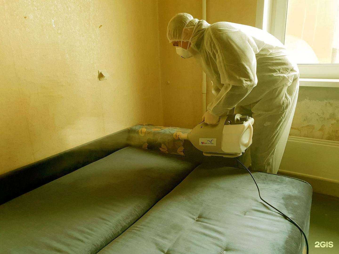 Отзывы на компанию Эко-дезинфектор в г. Барнаул c фото