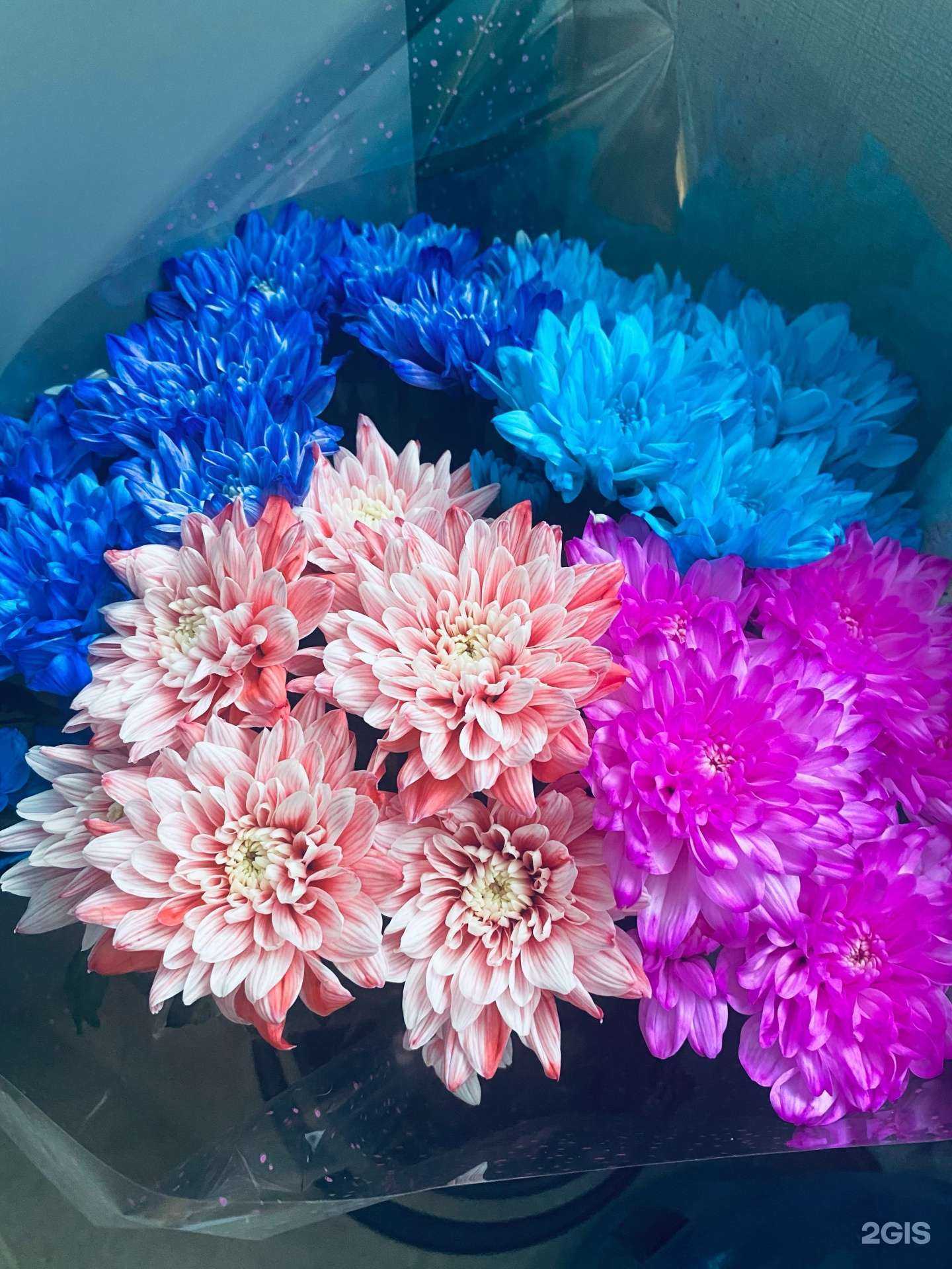 Отзывы на компанию Надежда в г. Курган c фото