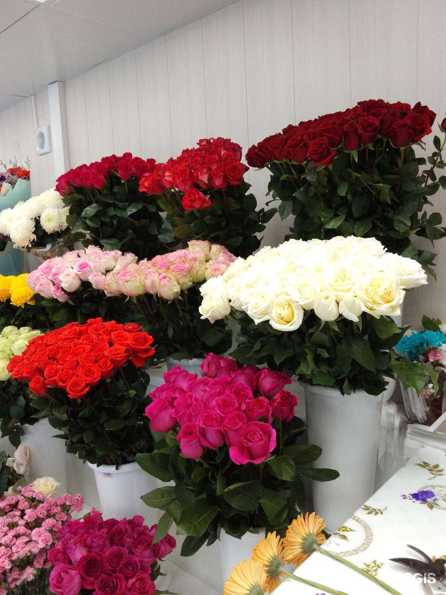 Отзывы на компанию Павильон по продаже цветов в г. Хабаровск c фото