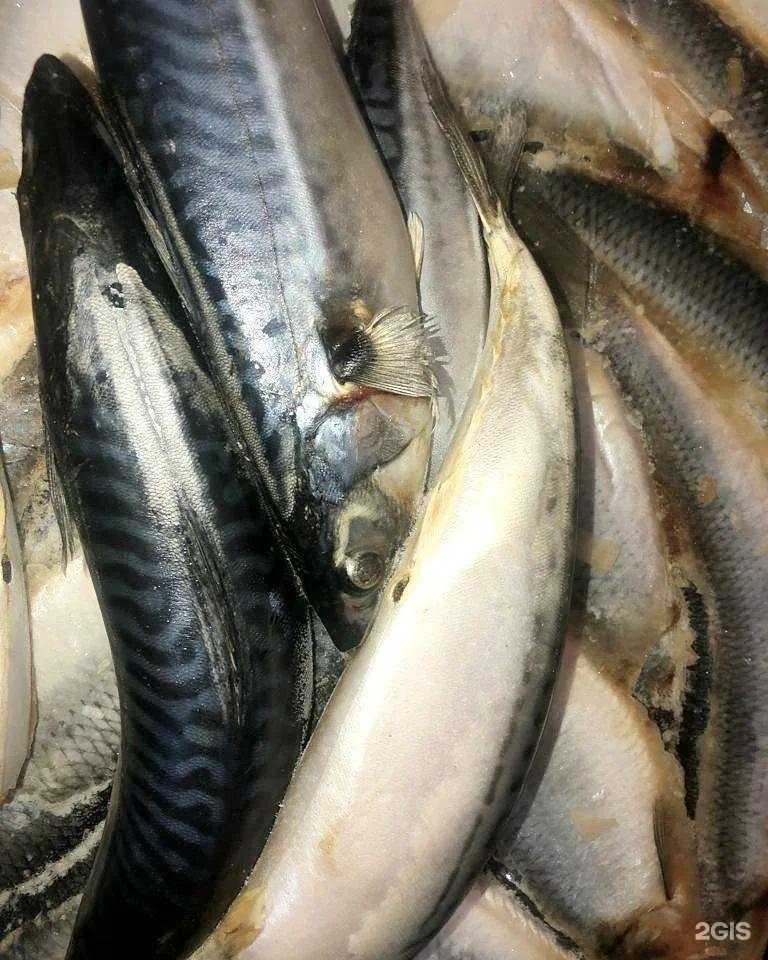 Отзывы на компанию Парнас в Геленджике c фото