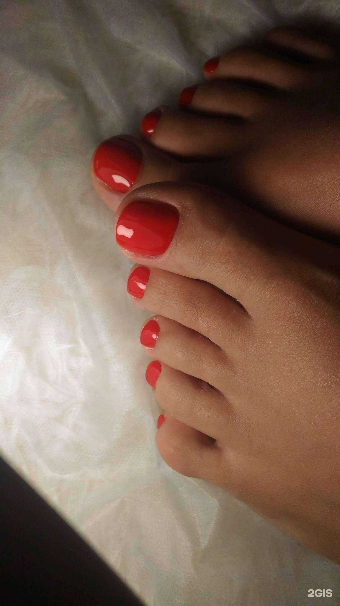 Отзывы на компанию El Mo в Владивостоке c фото