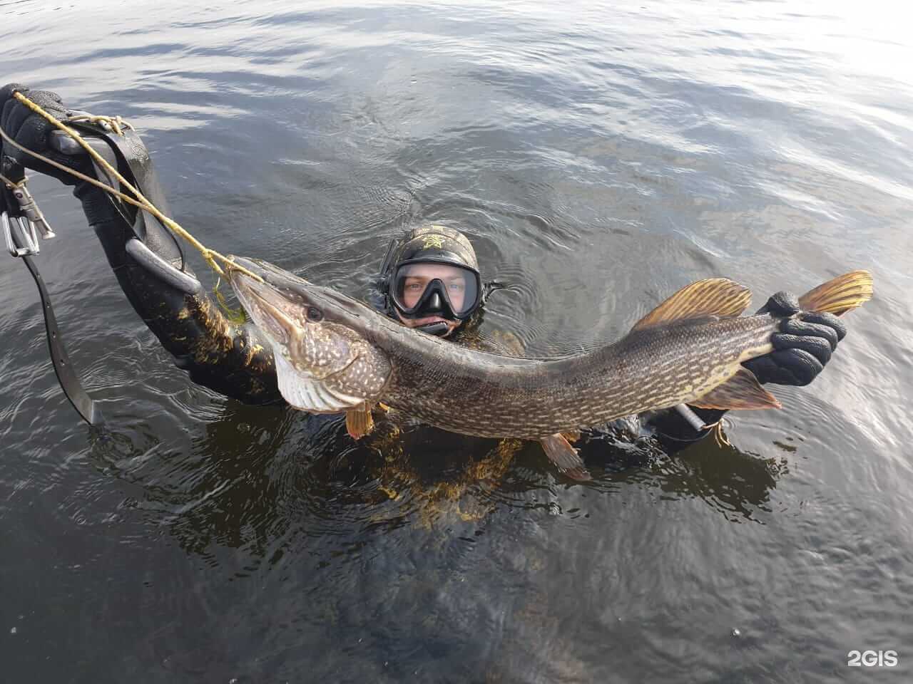 Отзывы на компанию Компания мастеровых изделий на трофейную рыбу в г. Вольск c фото