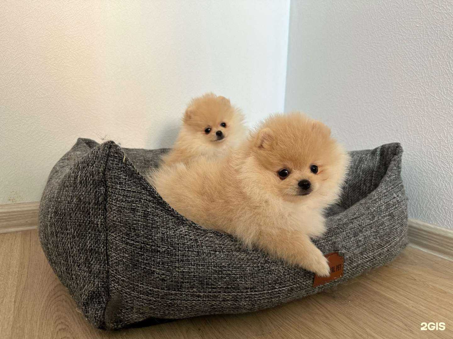 Отзывы на компанию Эфа в Екатеринбурге c фото