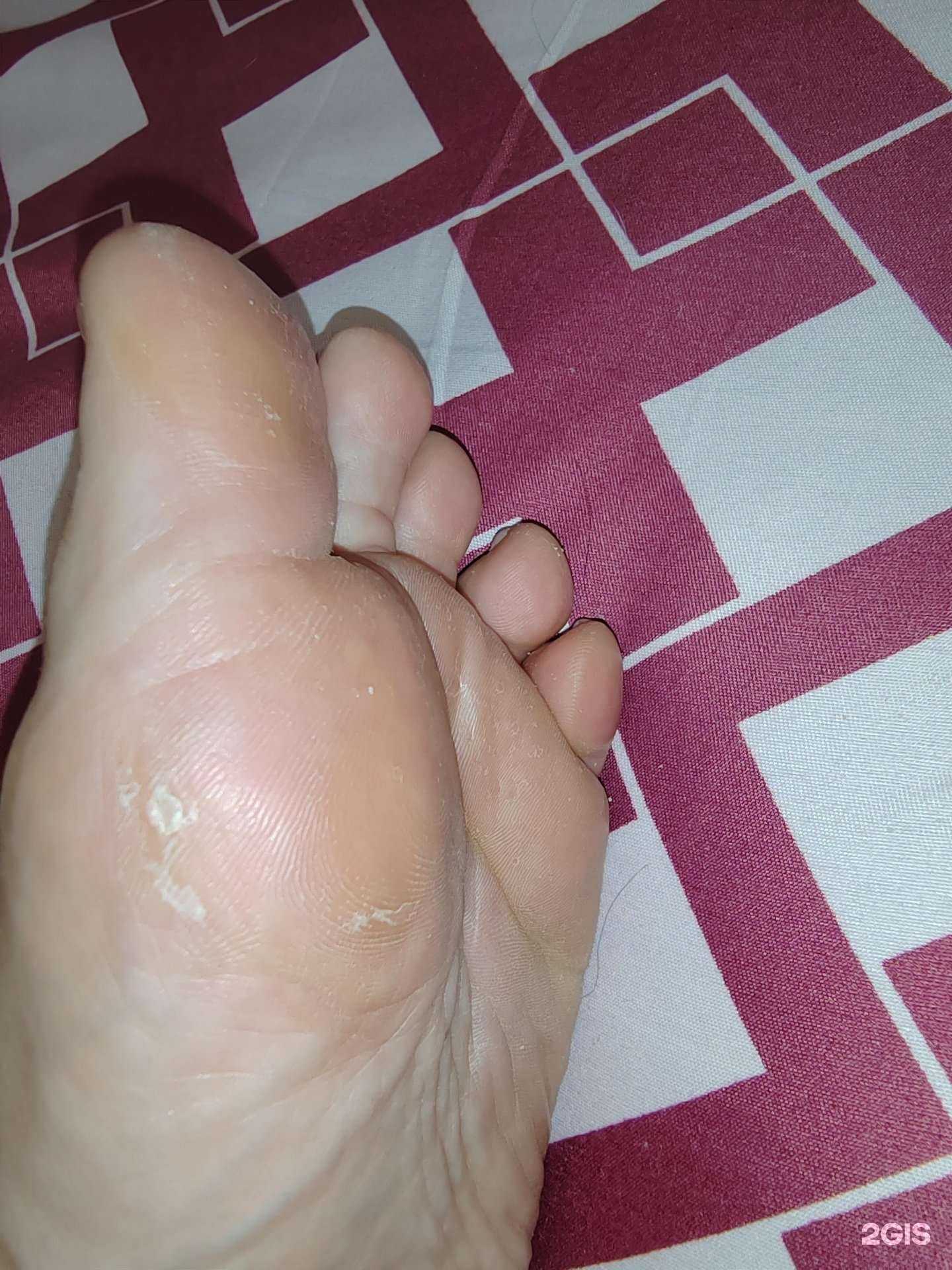 Отзывы на компанию А-студия в Новосибирске c фото