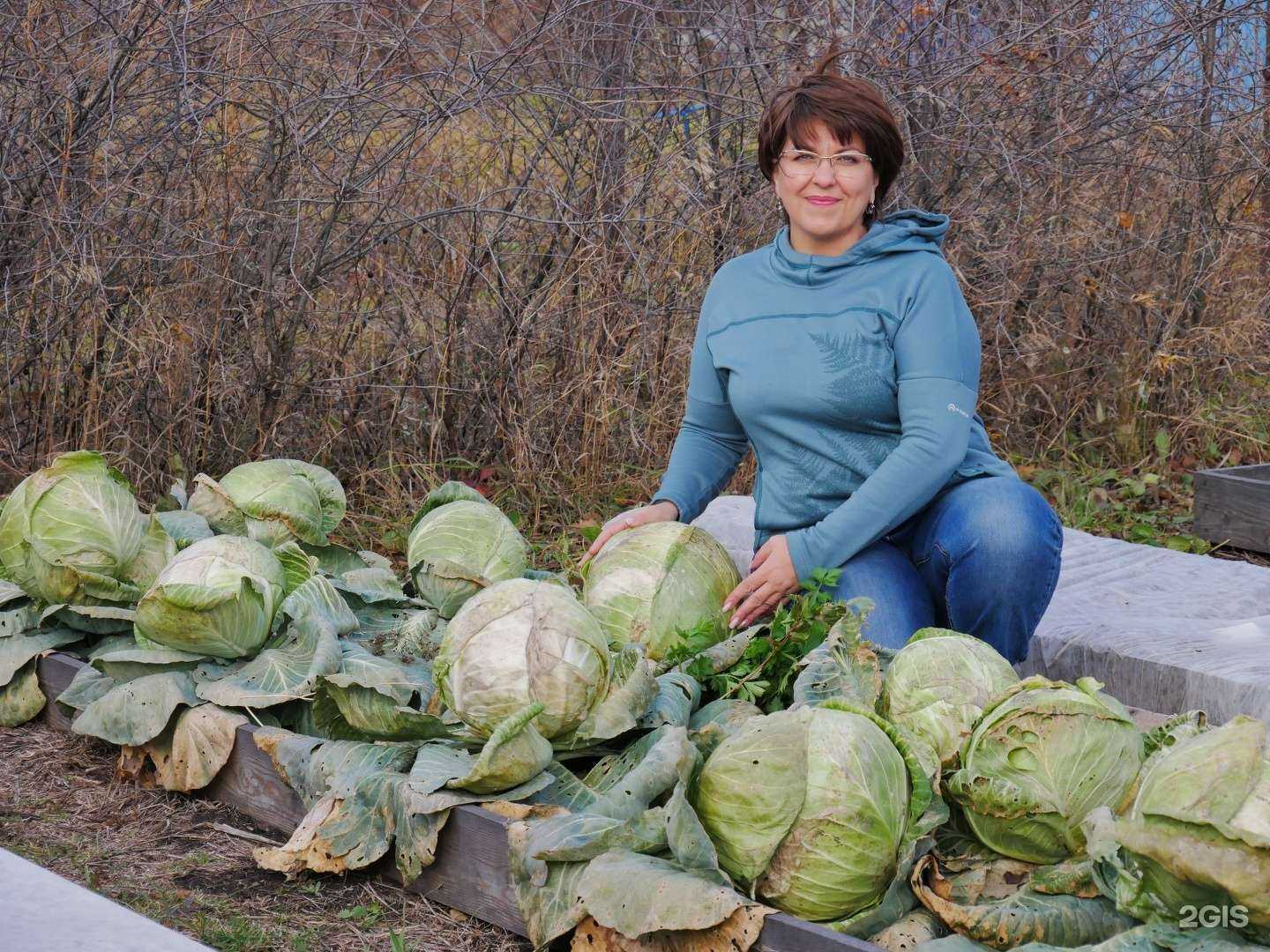 Отзывы на компанию Сияние в г. Барнаул c фото