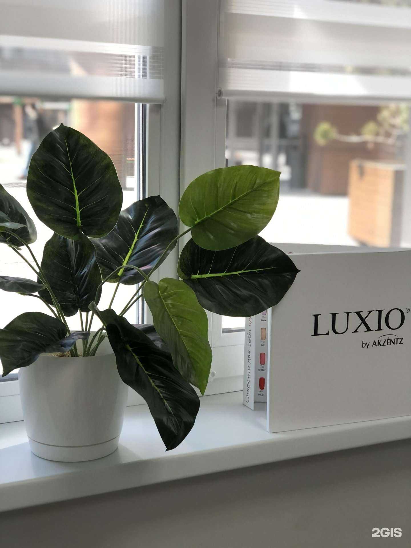 Отзывы на компанию Мой Тон в Казани c фото