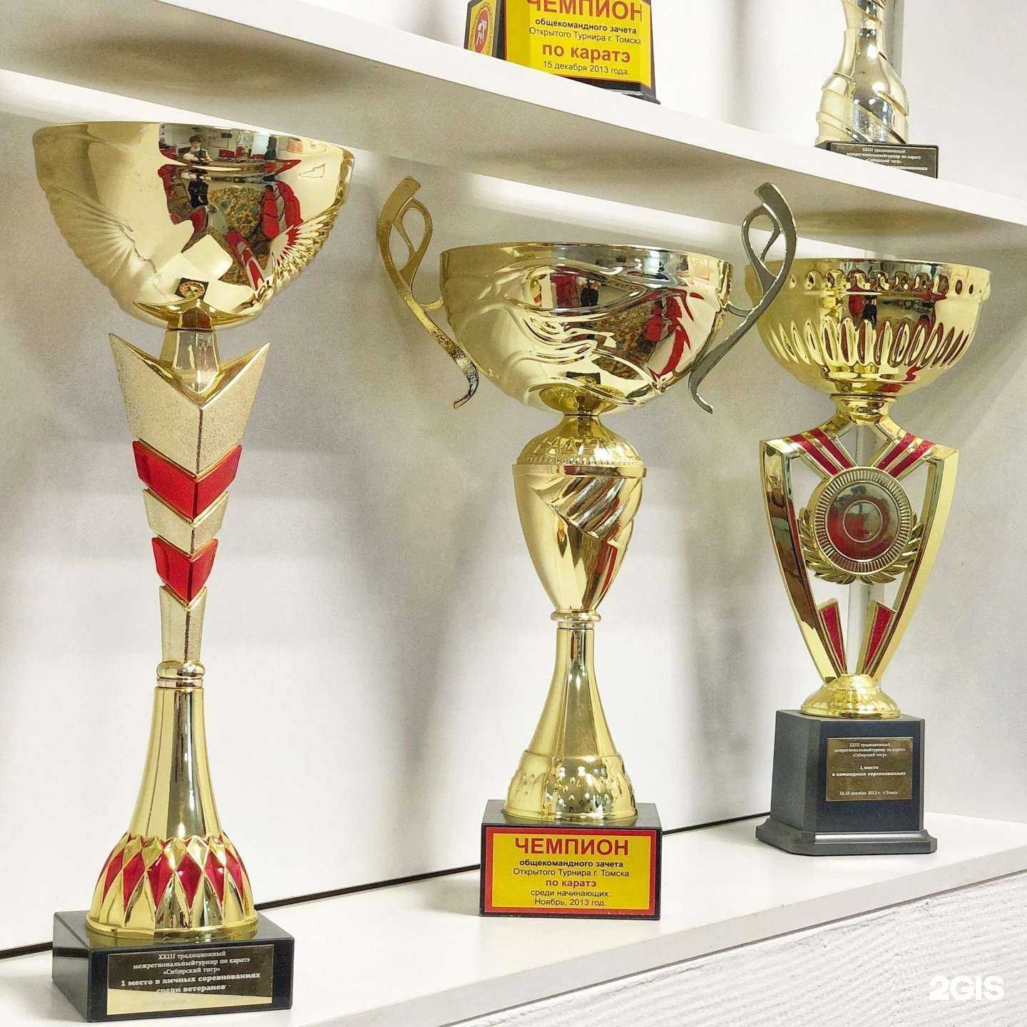 Отзывы на компанию Киндер-до в Томске c фото