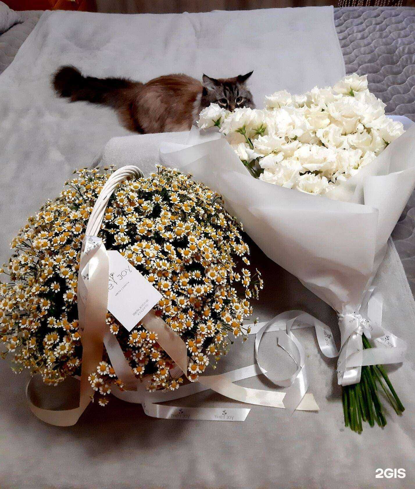 Отзывы на компанию The joy в Саратове c фото