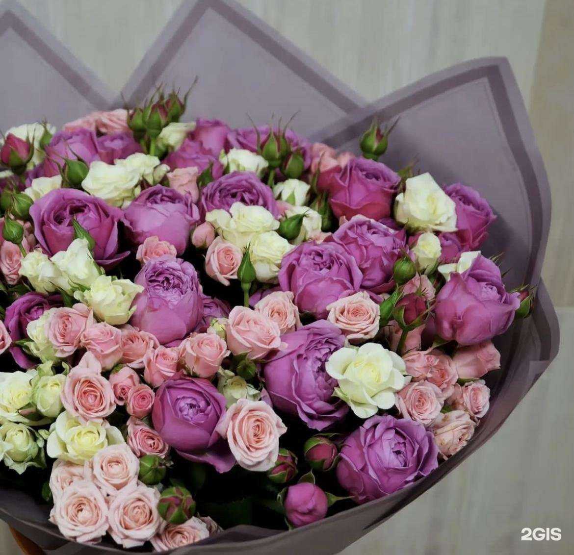 Отзывы на компанию СтавРоза в Ставрополе c фото