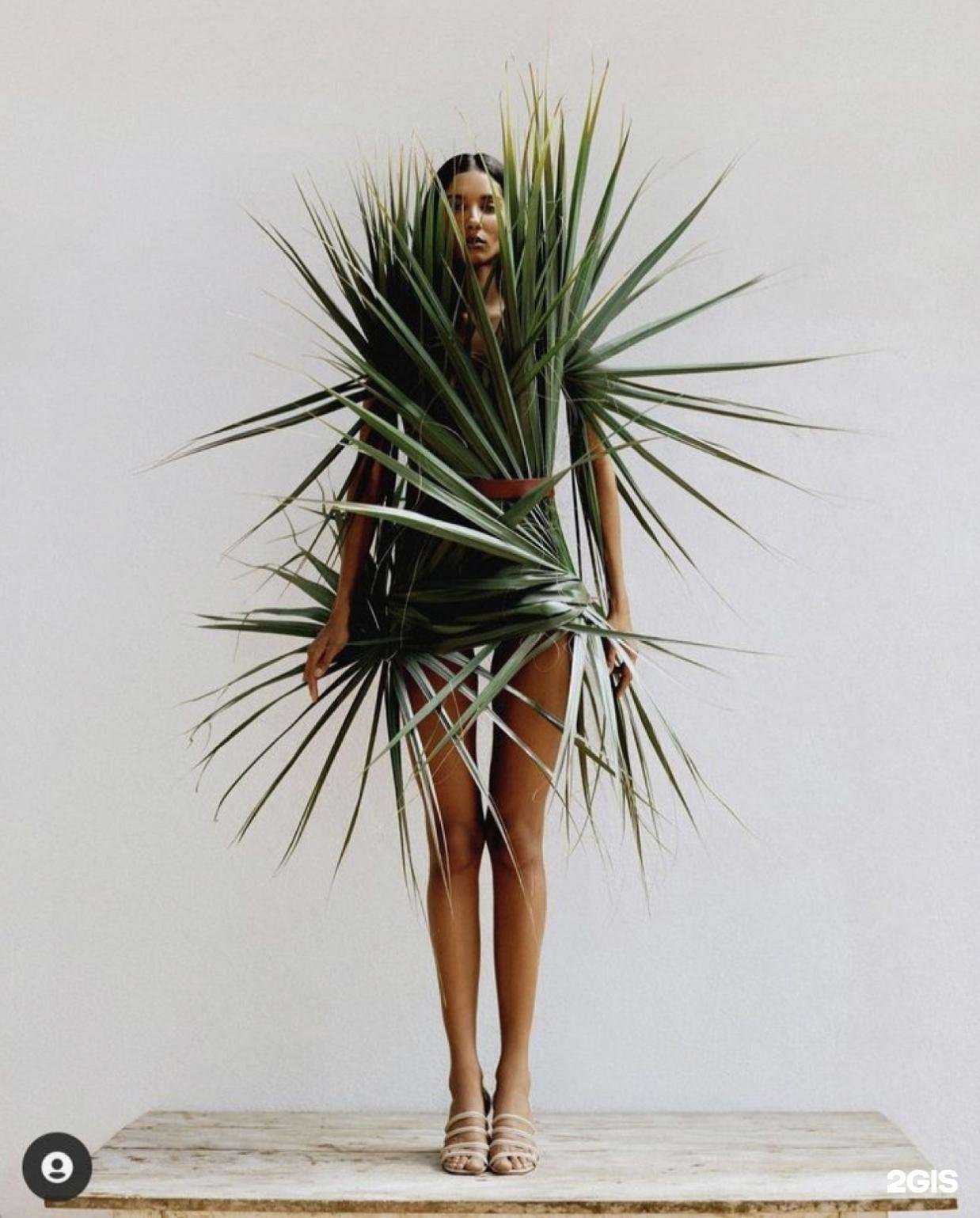 Отзывы на компанию Би Хеппи в Петропавловске-Камчатском c фото