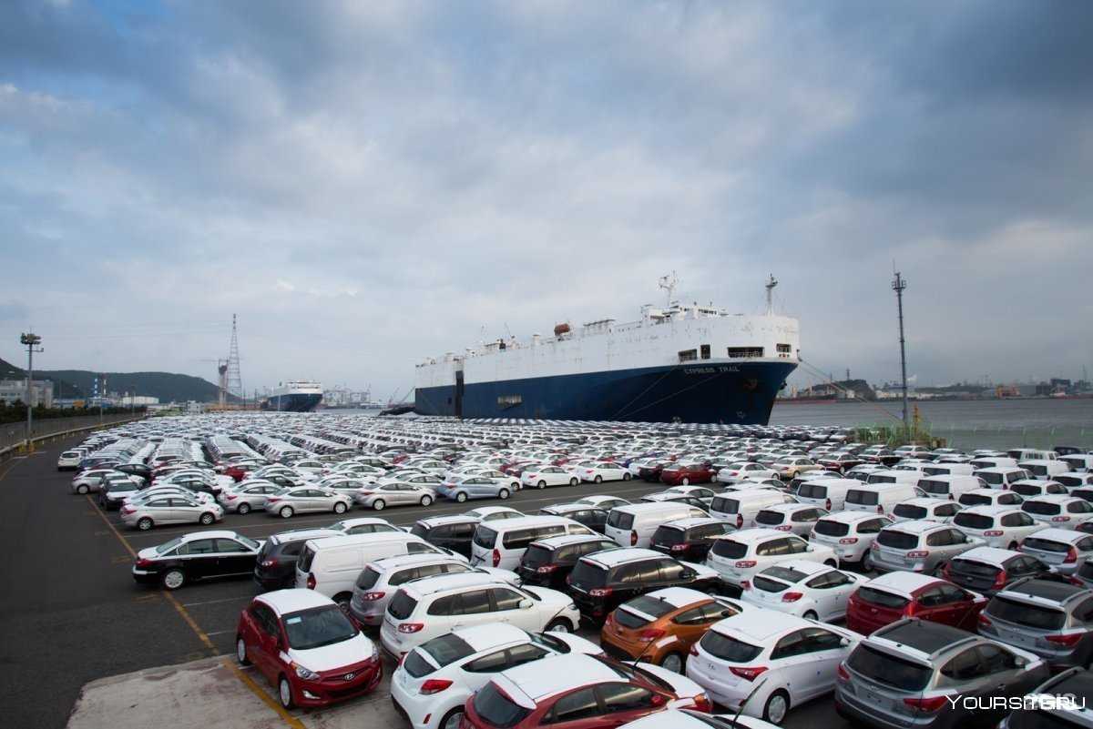 Отзывы на компанию Brevis Motors в г. Новосибирск c фото