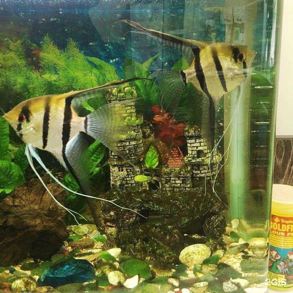 Отзывы на компанию Ника в Владивостоке c фото