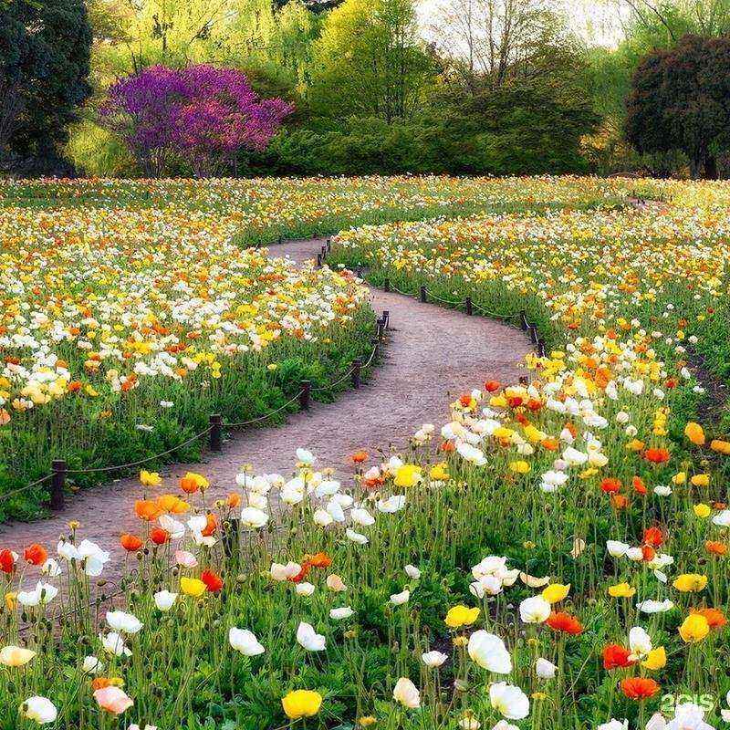 Отзывы на компанию Домгазон в Люберцах c фото