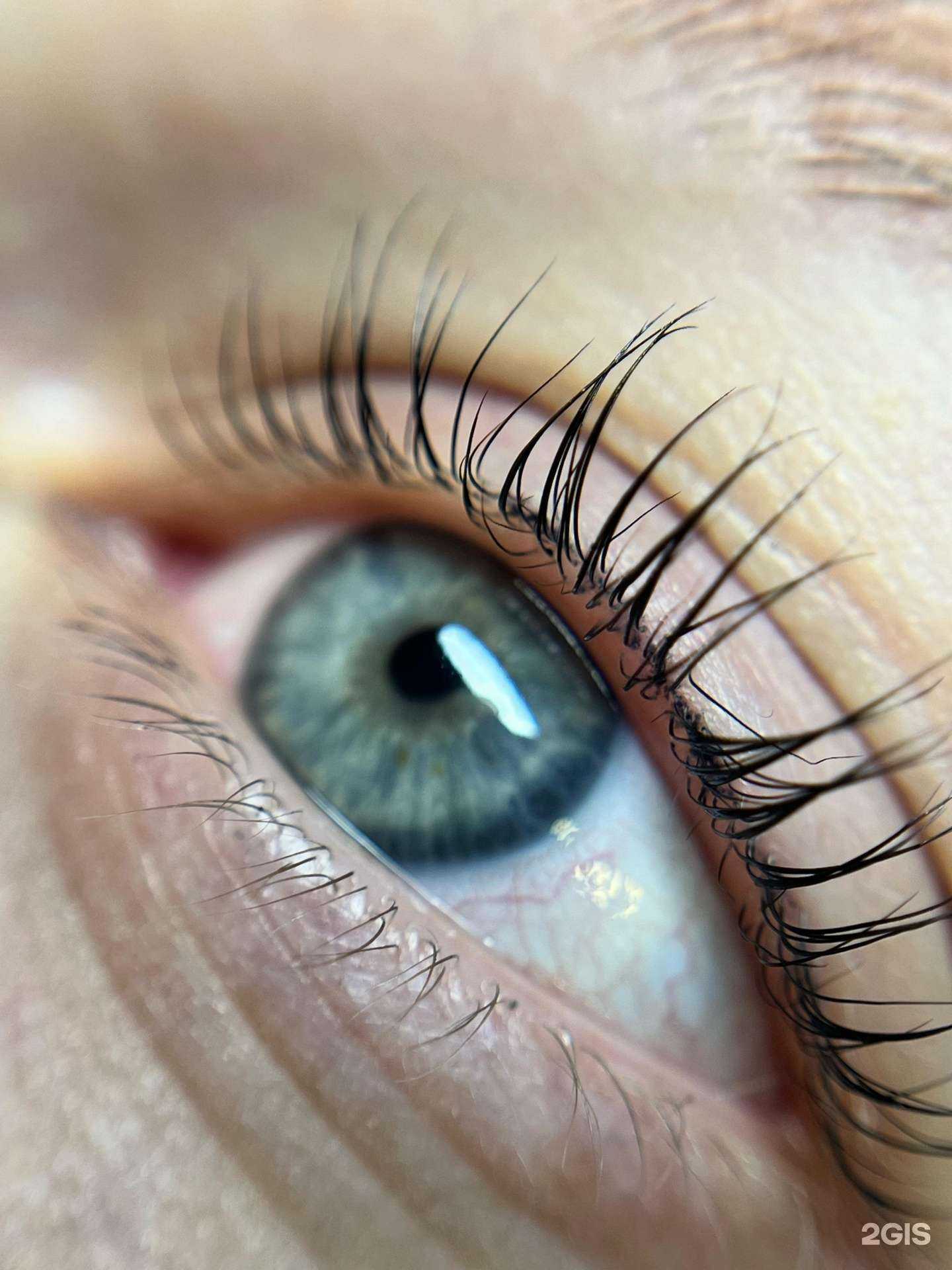 Отзывы на компанию Glami Studio в Барнауле c фото