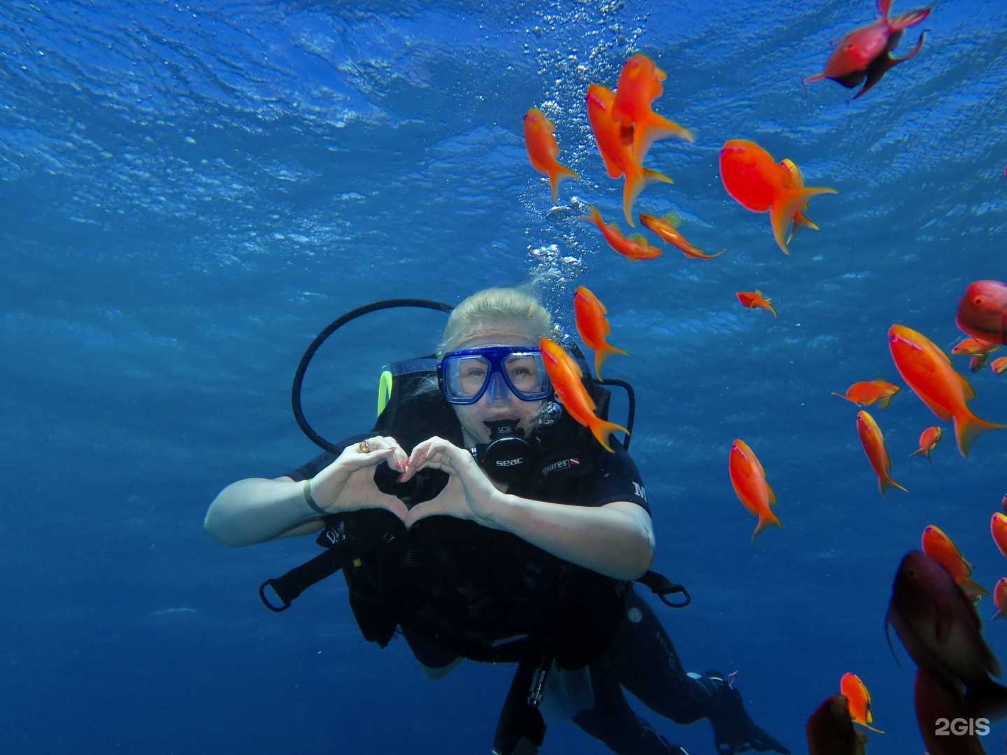 Отзывы на компанию Авиатур в г. Сургут c фото