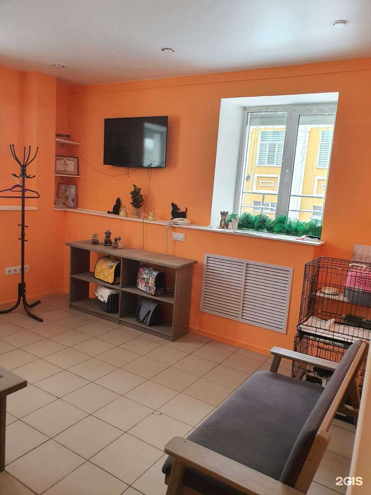 Отзывы на компанию Пушистый модник в Чебоксарах c фото