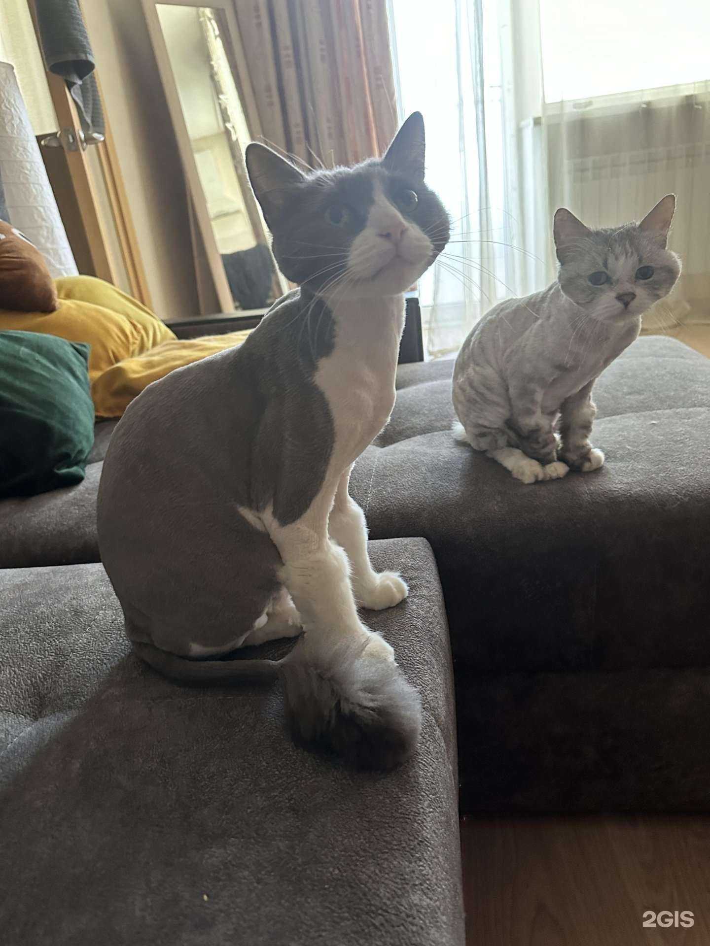 Отзывы на компанию #Дружок в Астрахани c фото