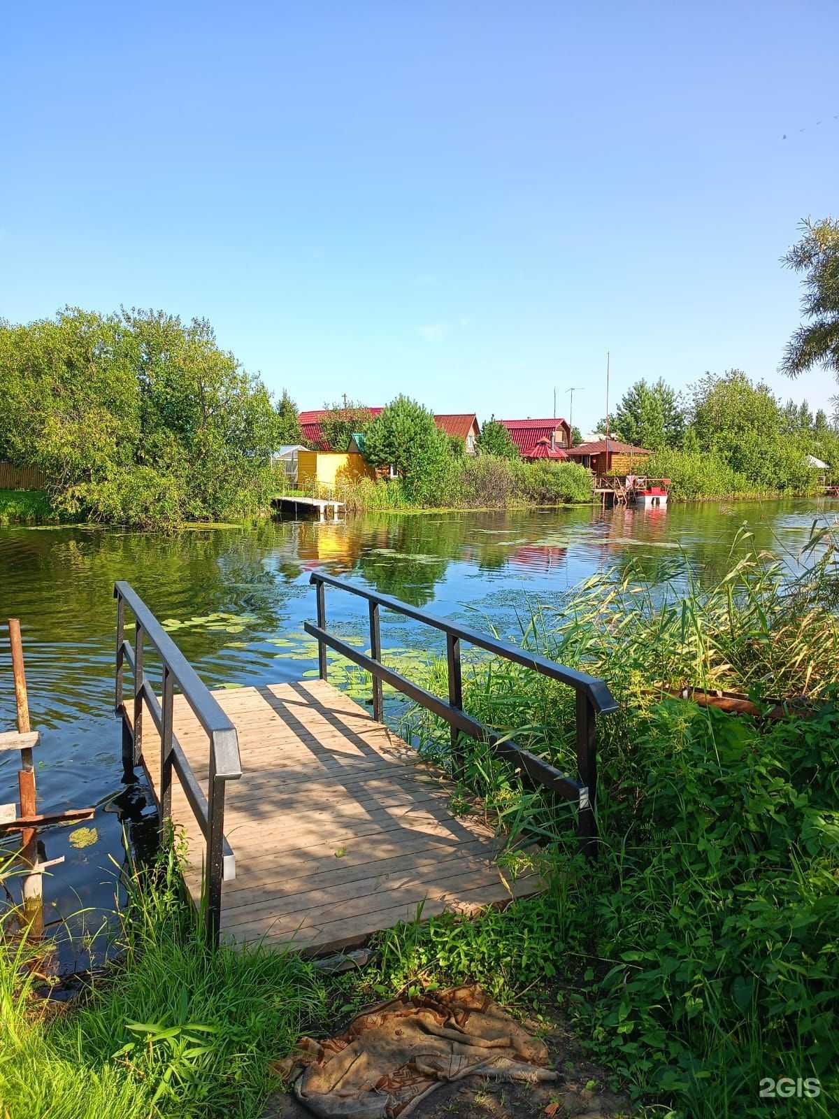 Отзывы на компанию Новая Сибирь в Новосибирске c фото