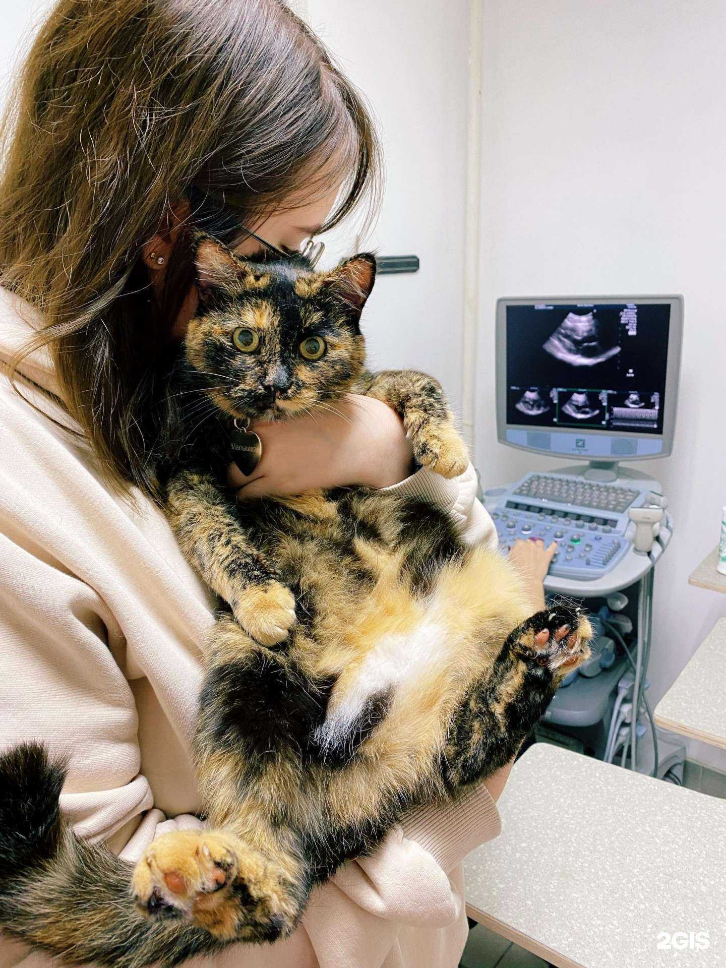 Отзывы на компанию Dr.Moore в г. Воронеж c фото