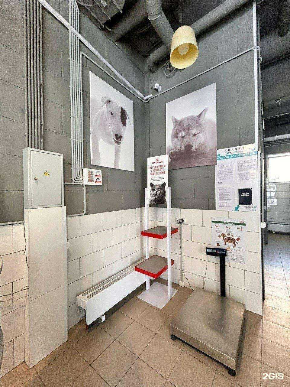 Отзывы на компанию Анавет в Коммунарке c фото