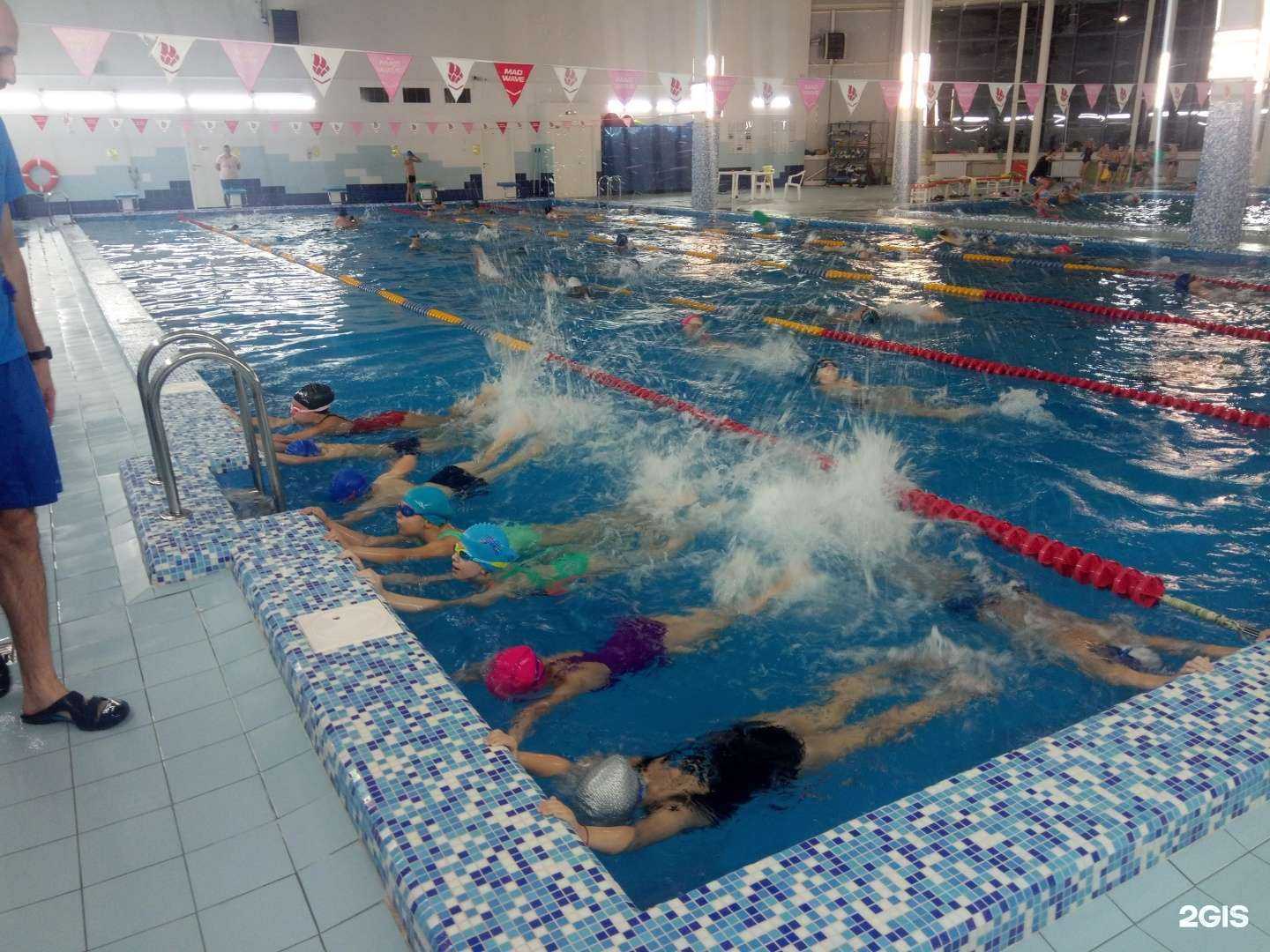 Отзывы на компанию Бабочка в Нижнем Новгороде c фото