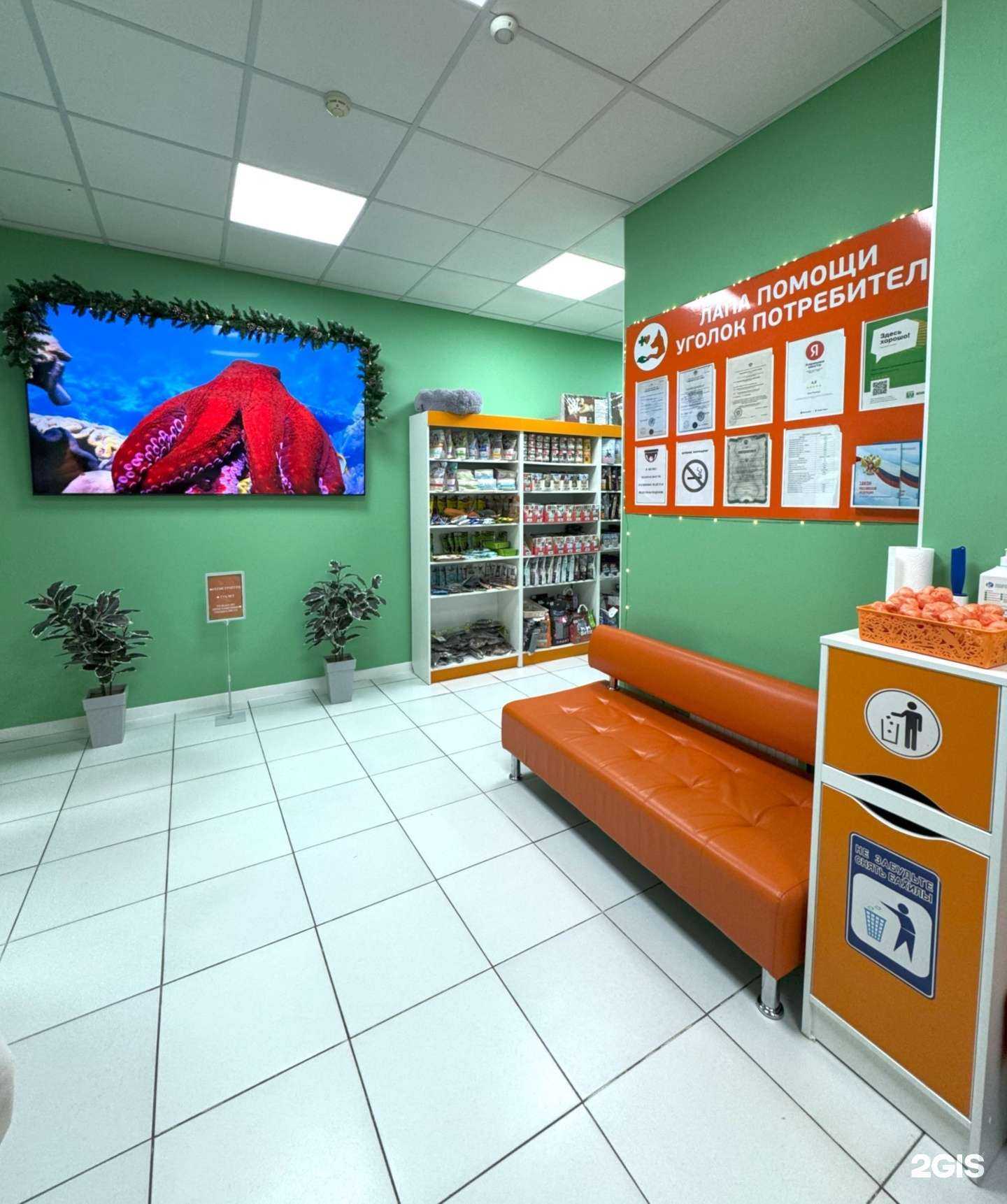 Отзывы на компанию Лапа Помощи в Краснодаре c фото