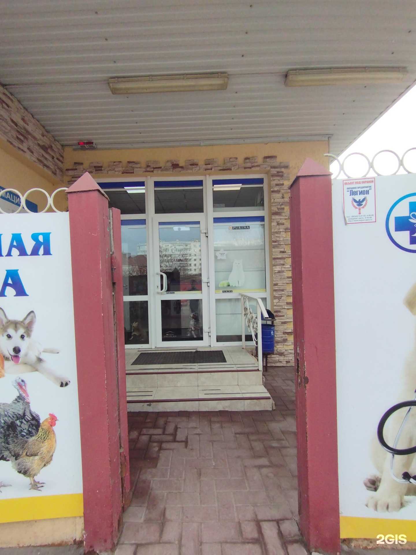 Отзывы на компанию Доктор в Азове c фото