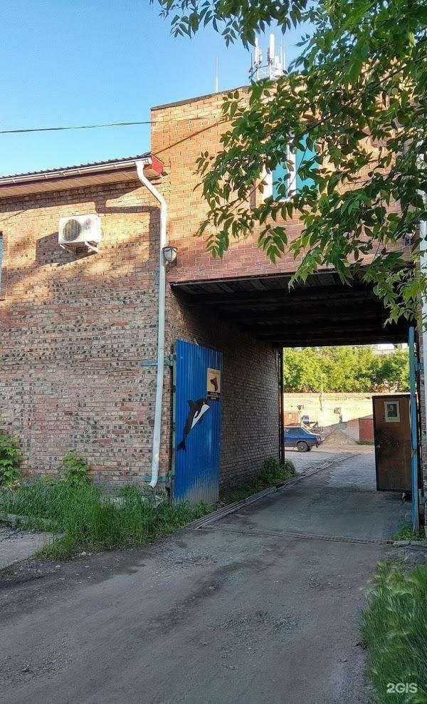 Отзывы на компанию Дельфин в Омске c фото