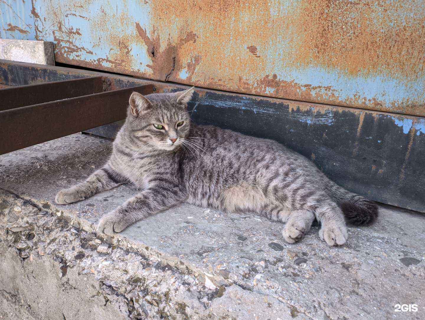 Отзывы на компанию Мой Арбитр в Махачкале c фото - фотография 2 из 2