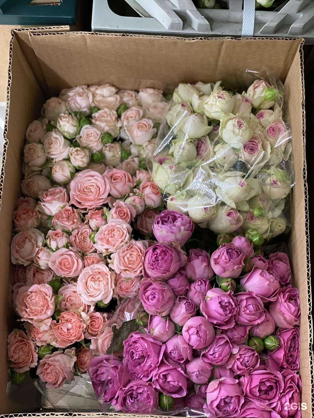 Отзывы на компанию Цветули в г. Улан-Удэ c фото