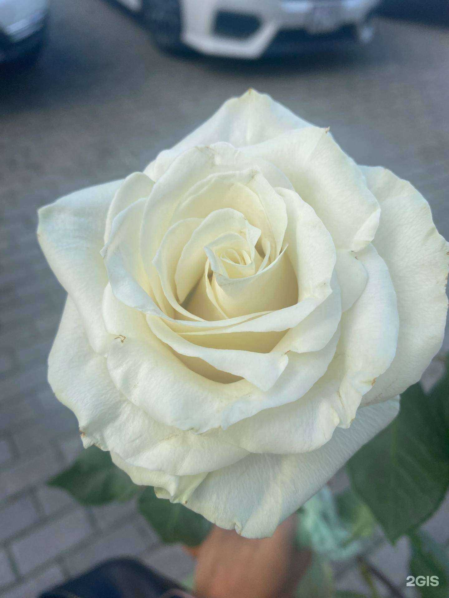 Отзывы на компанию Цветы для всех в г. Калининград c фото