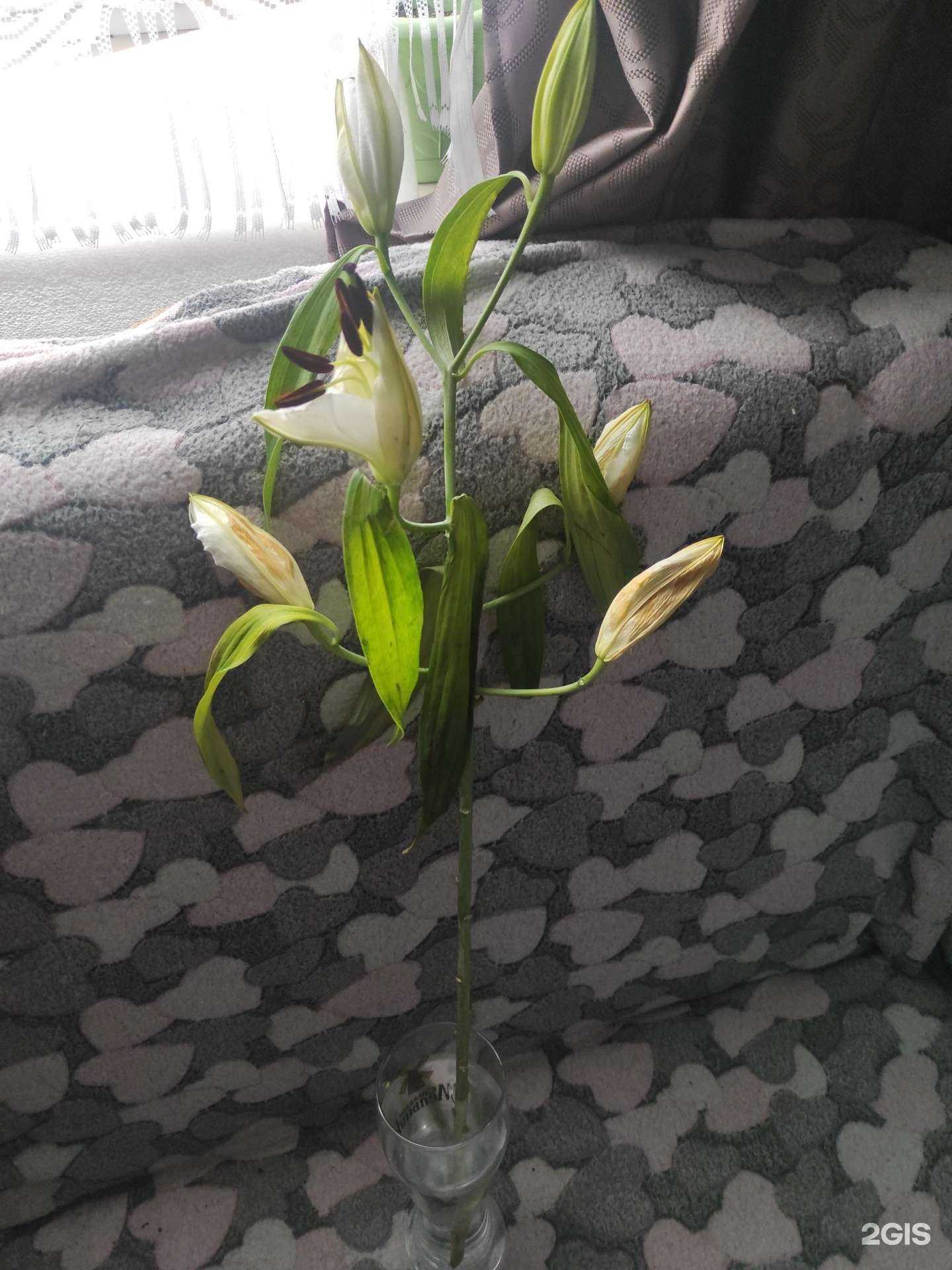 Отзывы на компанию Салон цветов в Новосибирске c фото