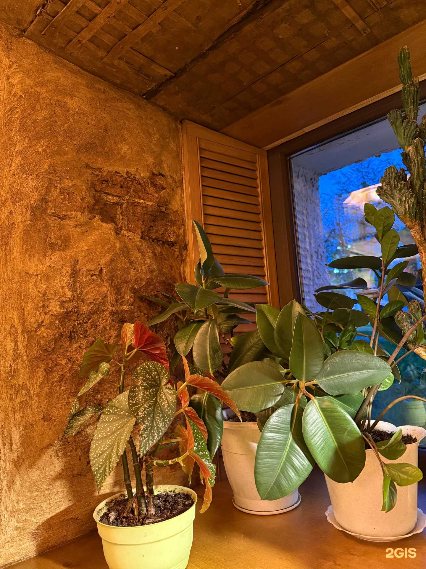 Отзывы на компанию Факультет Дегустаторов в г. Кострома c фото