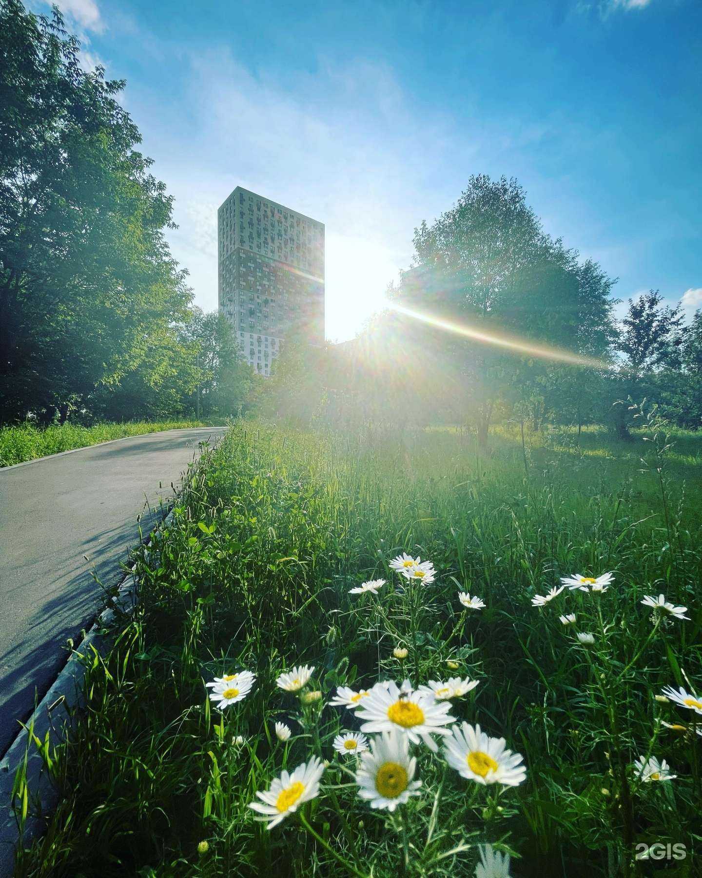 Отзывы на компанию Фотостудия в г. Красногорск c фото