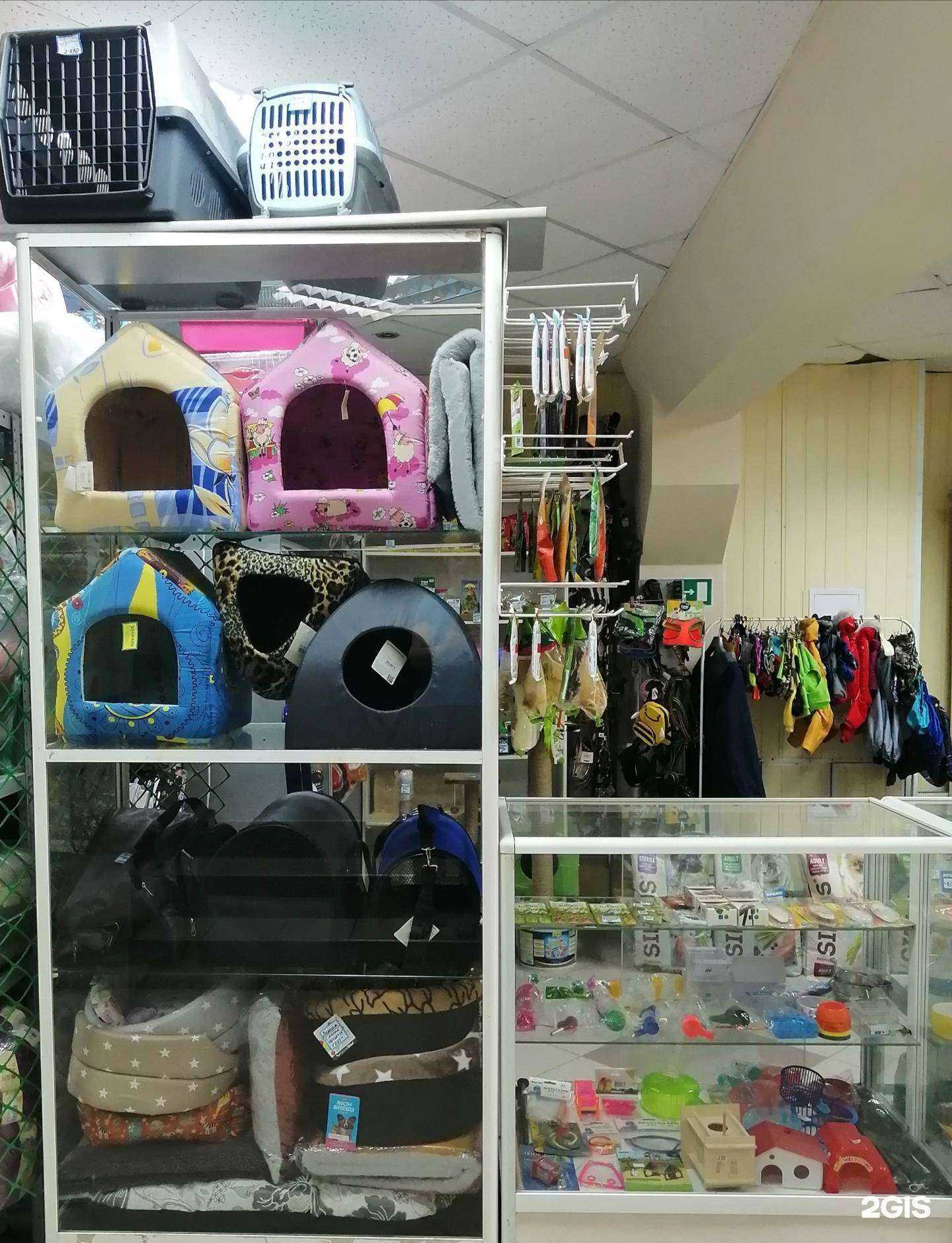 Отзывы на компанию Аква-зоо в г. Тольятти c фото