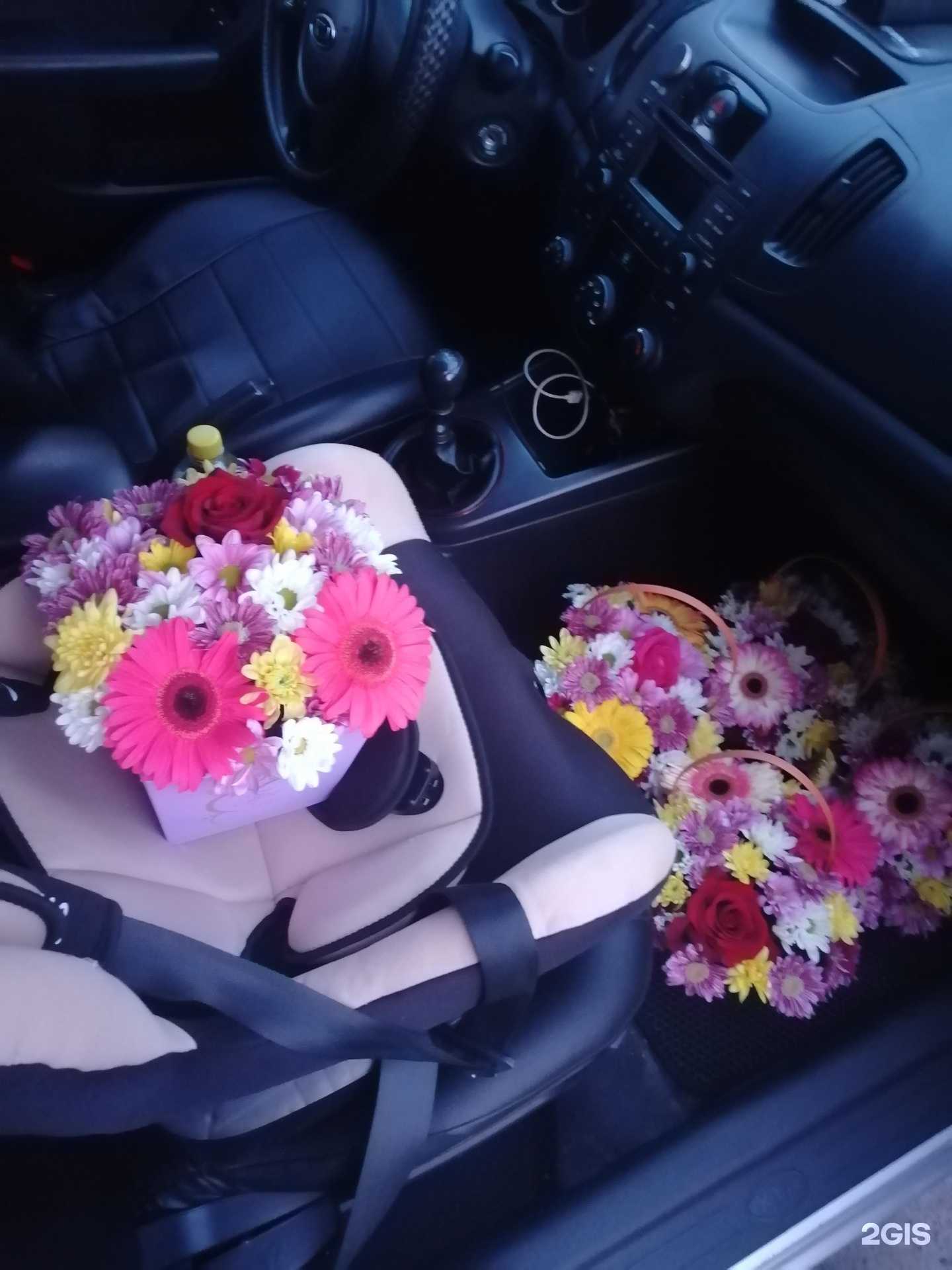 Отзывы на компанию Голландия в Тюмени c фото