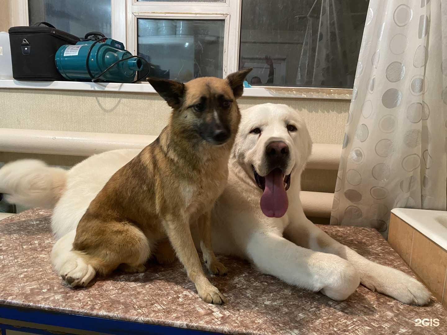 Отзывы на компанию С любовью в г. Курган c фото