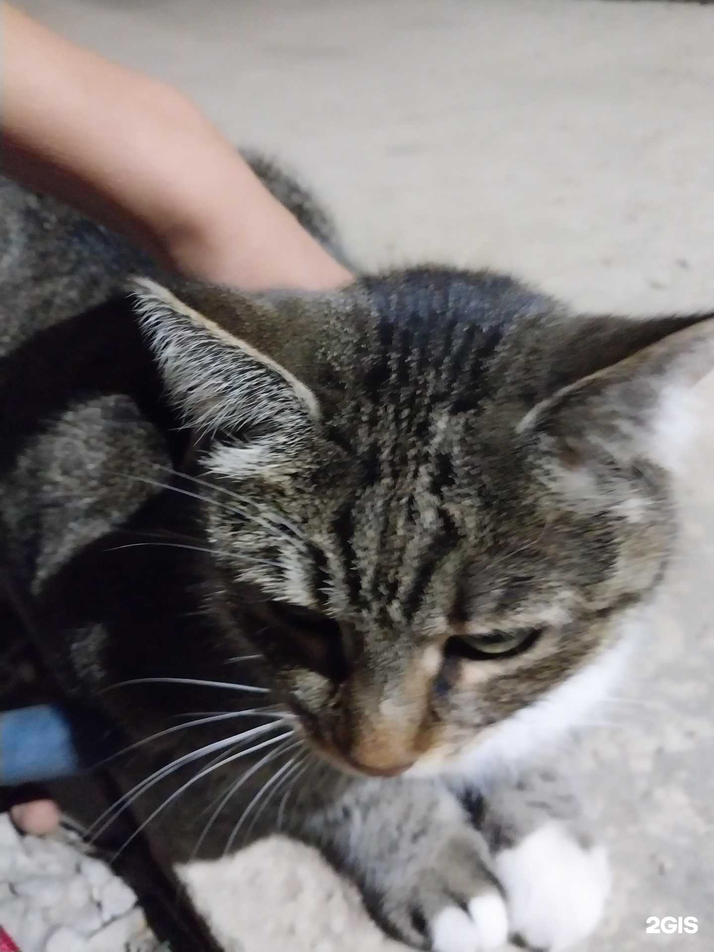 Отзывы на компанию Эдельвей в Краснодаре c фото - фотография 2 из 2