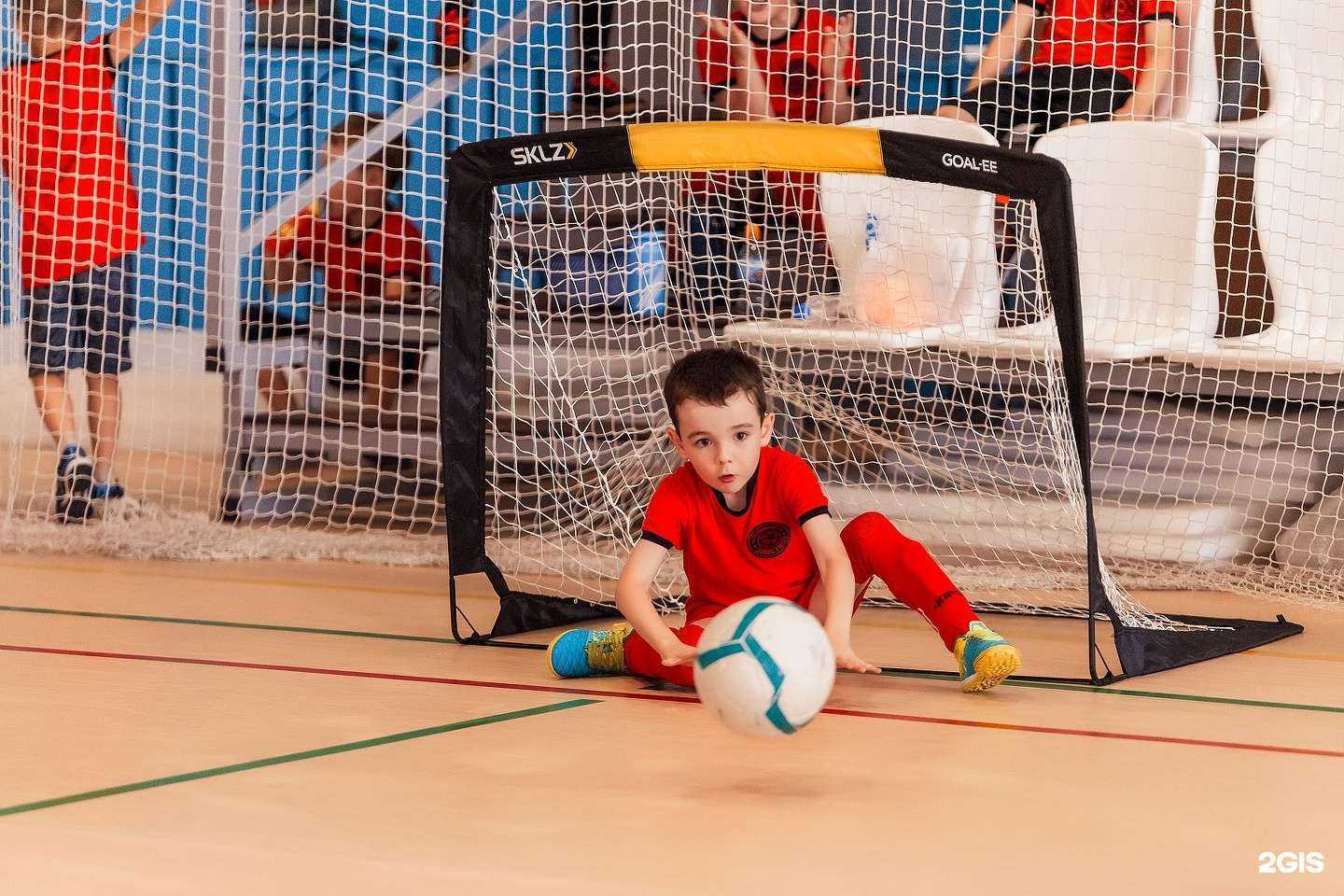 Отзывы на компанию Эластико в Волгограде c фото