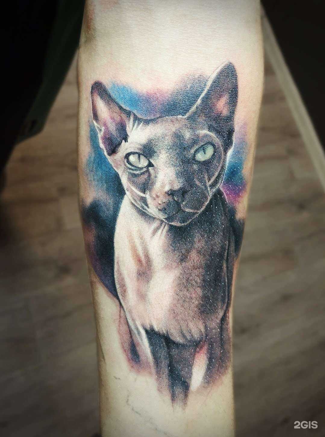 Отзывы на компанию Сабрин Тату в г. Казань c фото